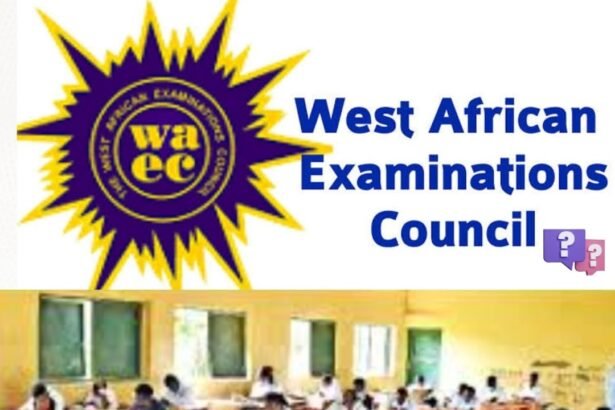 How to Check WAEC Results 2025 Online Fast (Step-by-Step Guide)